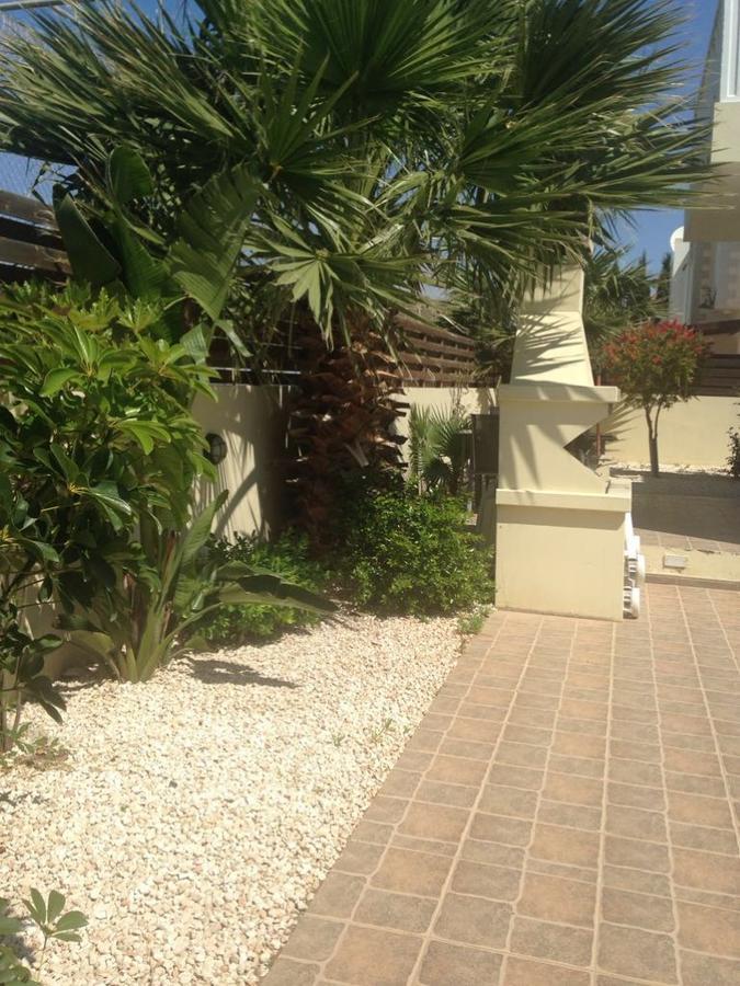 Villa Favor - 3 Bed With Pool Close To Nissi Beach アヤナパ エクステリア 写真